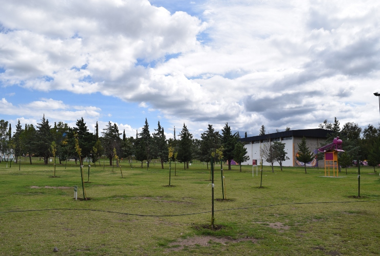 Vistas del Parque